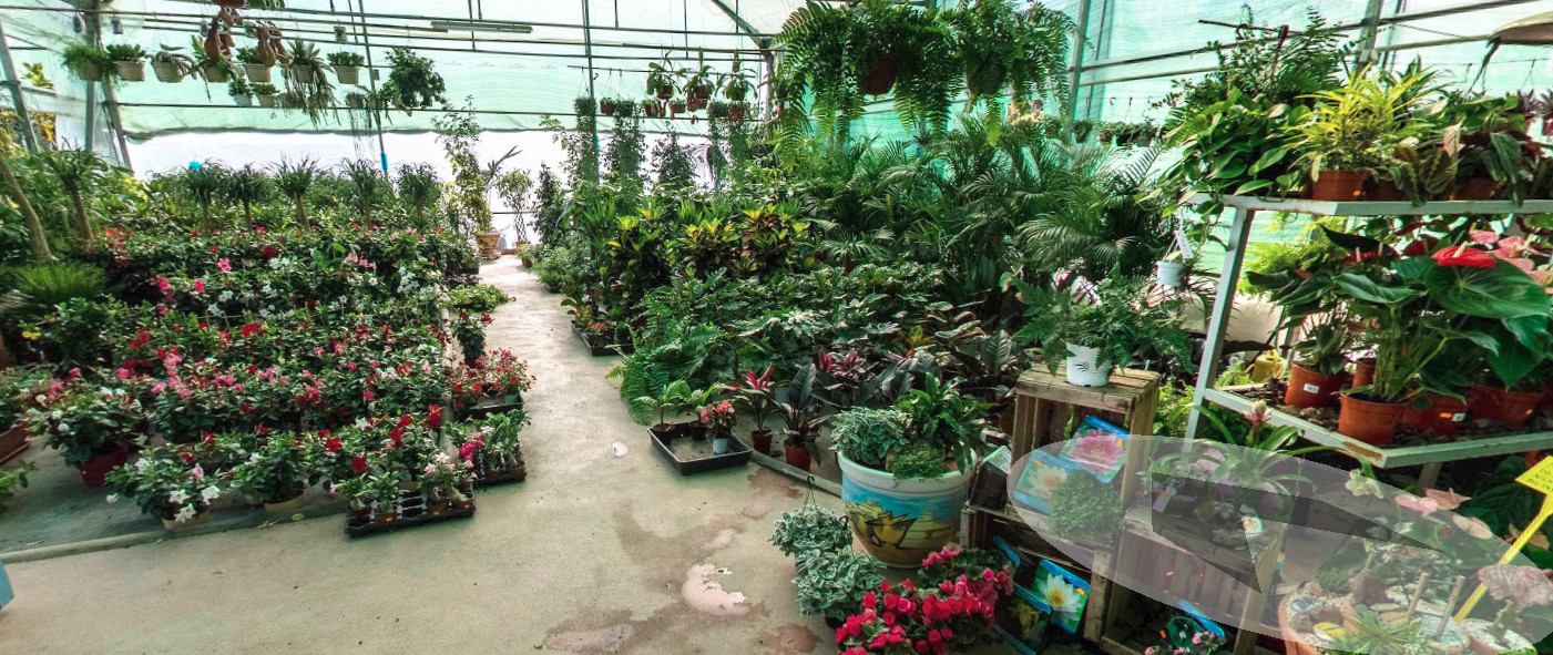 Garden Center el Milagro – Mazarrón